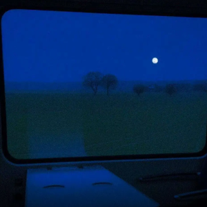 阿格莱雅产奶图片真实
