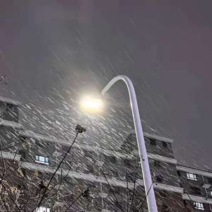 阿格莱雅产奶图片真实
